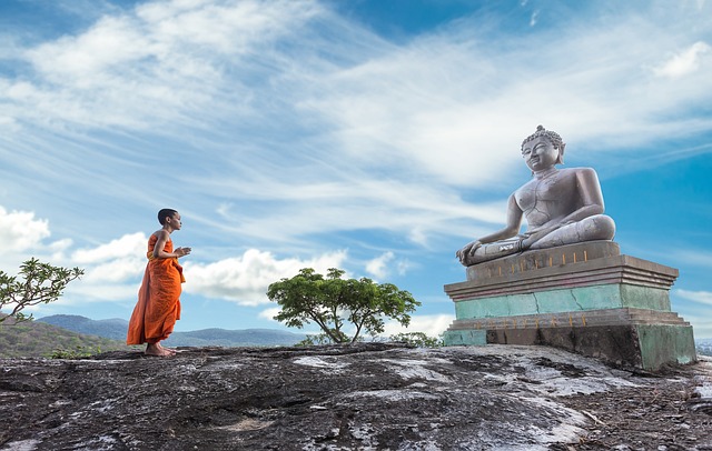 Être bouddhiste, une voie de sagesse et de bonheur

